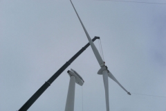Windkraft (11)