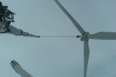 Windkraft (21)